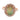 Modern opal diamond 14k rose gold cluster ring Jack Weir & Sons