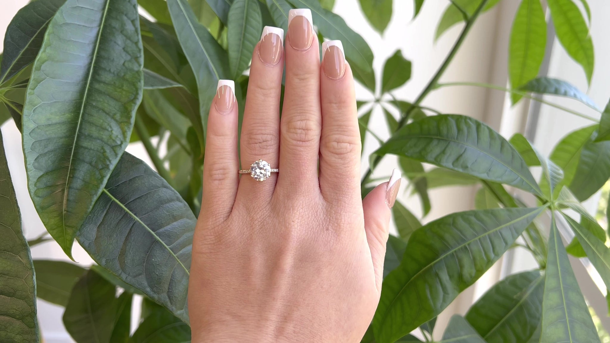 7 Tips for Buying Diamond Engagement Rings Online - Jack Weir & Sons