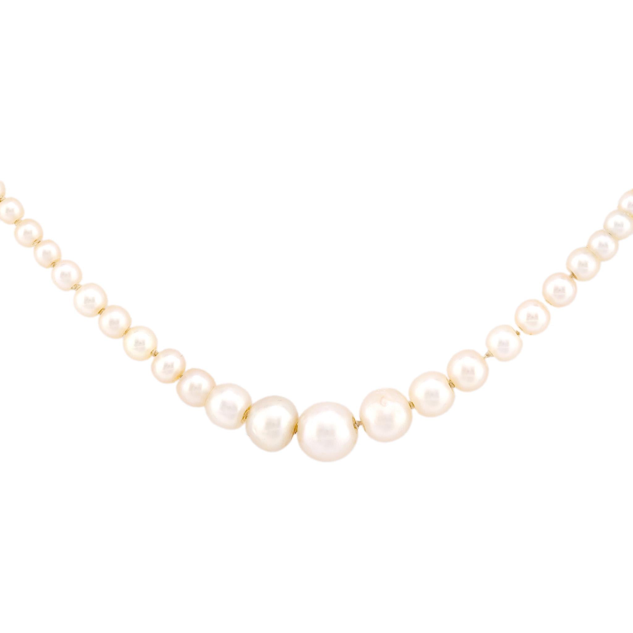 Edwardian Natural Pearl 14K Yellow Gold Necklace Necklaces Jack Weir & Sons   