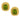 David Yurman 5.90 carat peridot 18k yellow gold earrings David Yurman